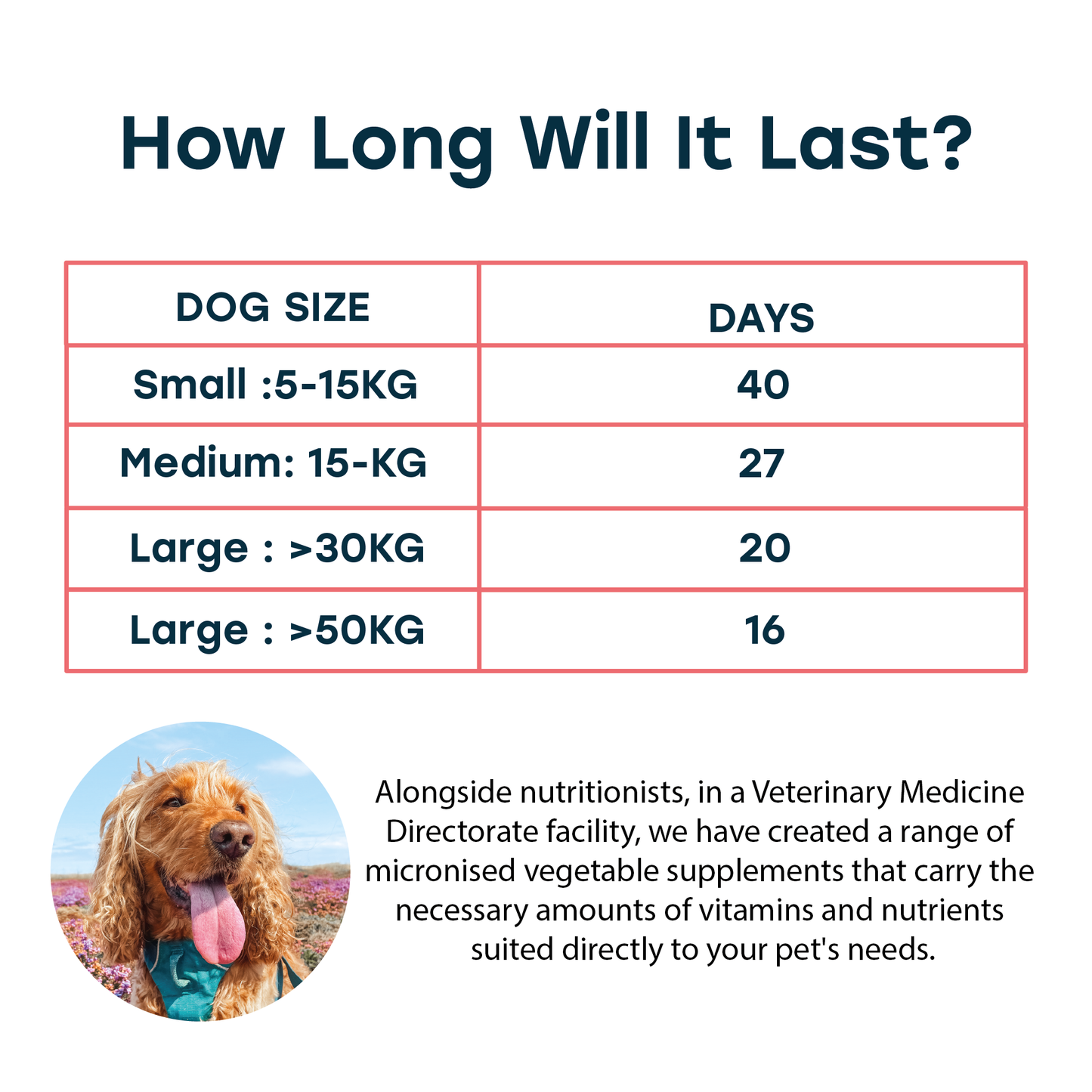 Vitafeed Omega 3 Daily Powder